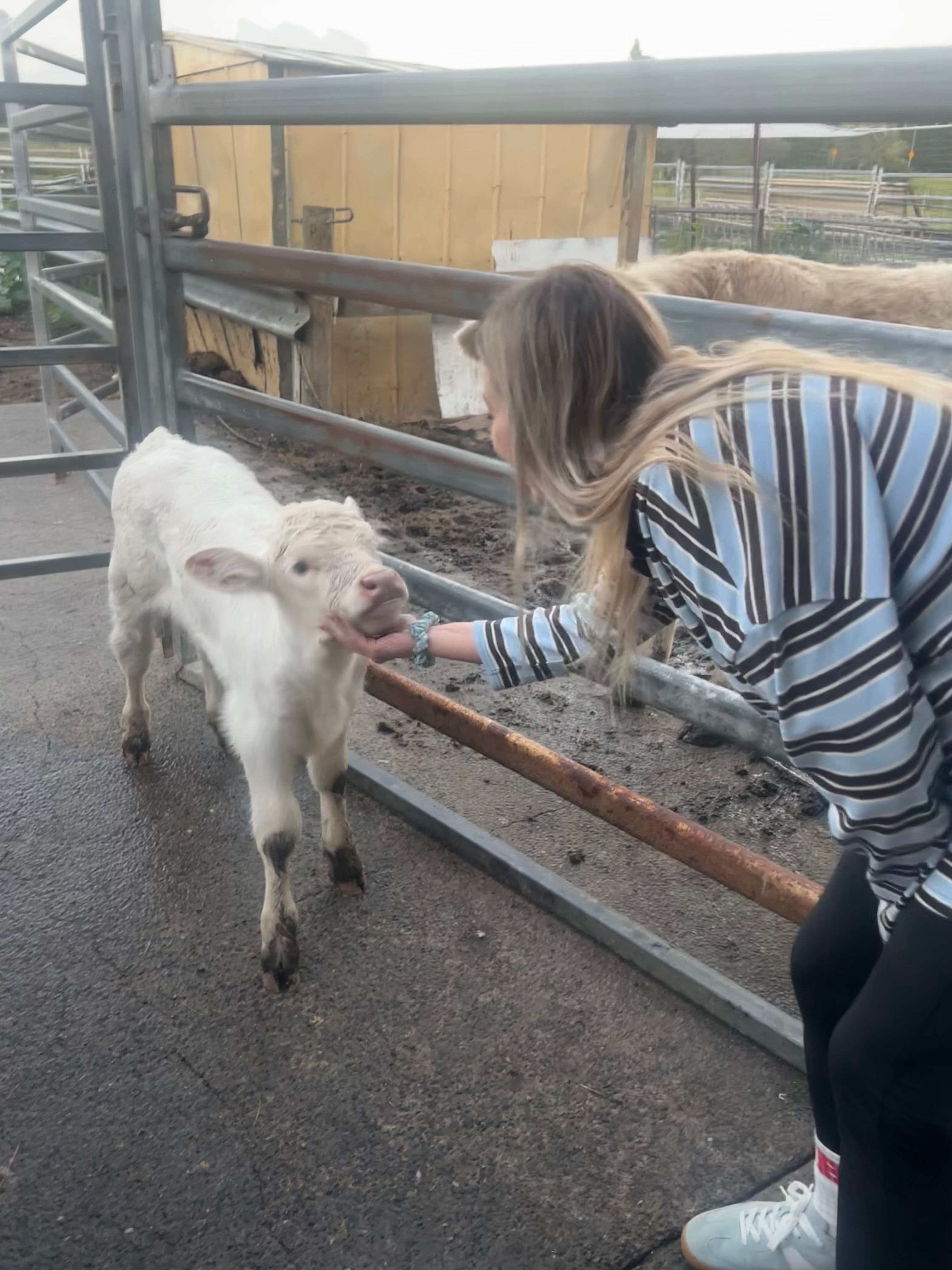 I want to pat a cow, I’ve always loved cows and it’s been on my bucket list forever